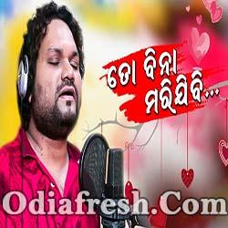 To Bina Marijibi - Odia New Sad Song - Humane Sagar